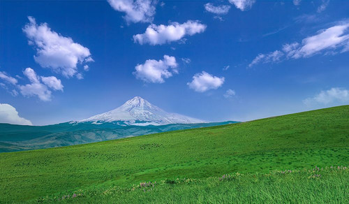 Mt. Hood Beyond the Meadow Poster Print - Don Schwartz