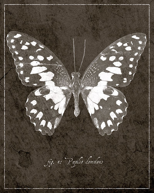 Butterfly M Poster Print - ArtLab GI