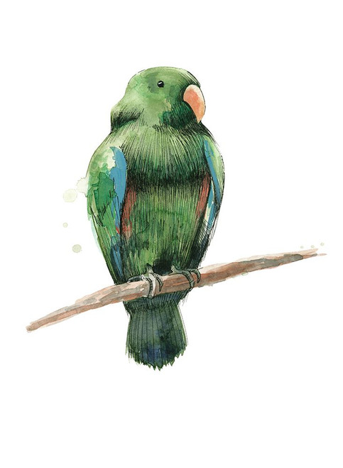 Bird 3 Poster Print - Brenna Harvey