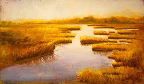 Wetlands Poster Print - Cory Steffen