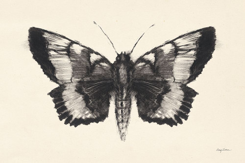 Moth V Poster Print - Avery Tillmon