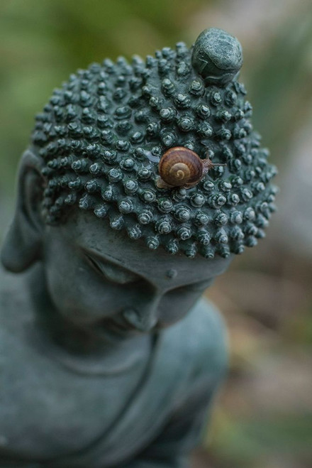 Green Buddha Statue with Snail Poster Print - Artographie