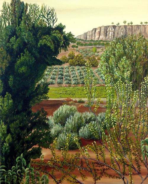 High Mountain Olive Trees Poster Print - Angeles M. Pomata