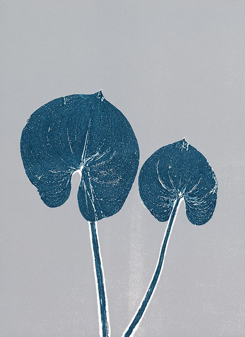 Indigo Pair 3 Poster Print - Studio MMB