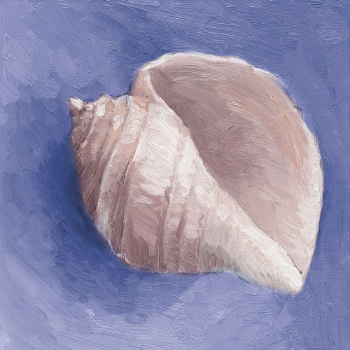 Very Peri Shell II Poster Print - Lanie Loreth