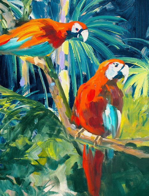 Parrots in Tropics II Poster Print - Jane Slivka