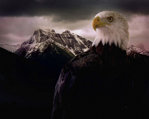 Eagle Mountain Poster Print - Steve Hunziker