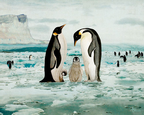 Emperor Penguin Family Poster Print - Angeles M. Pomata