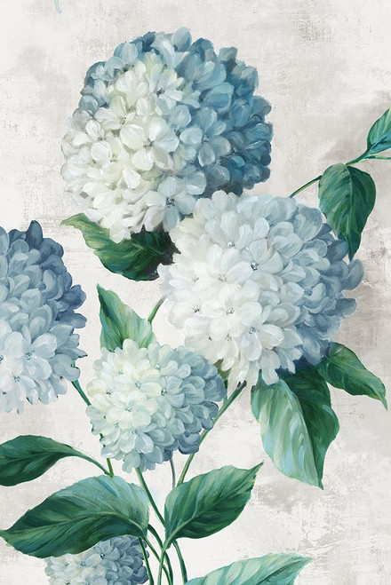Blue Hydrangea Florals Poster Print - Alex Black Blue Hydrangea Florals Poster Print - Alex Black