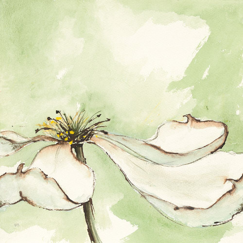 After Dogwood I Poster Print - Chris Paschke