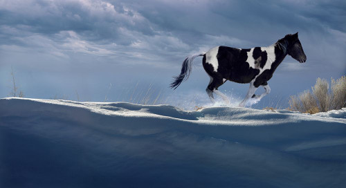 Wintry Runner Poster Print - Steve Hunziker