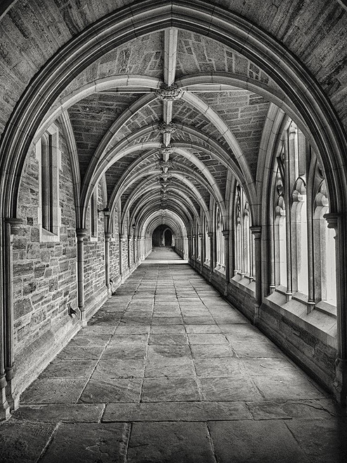 Cloisters Poster Print - Artographie