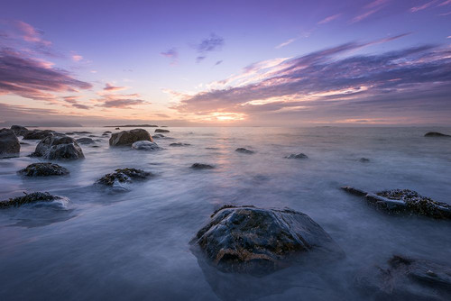 Calm Morning Poster Print - Artographie