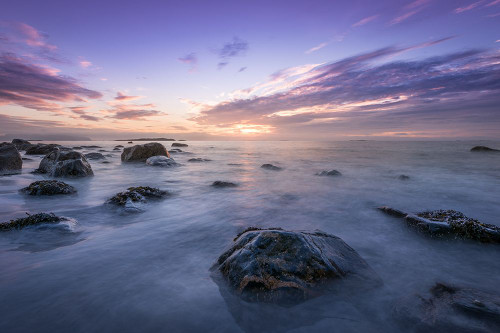 Calm Morning Poster Print - Artographie