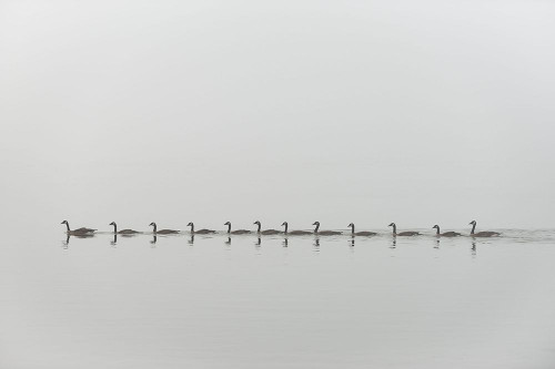 Follow Me Poster Print - Nick Kalathas