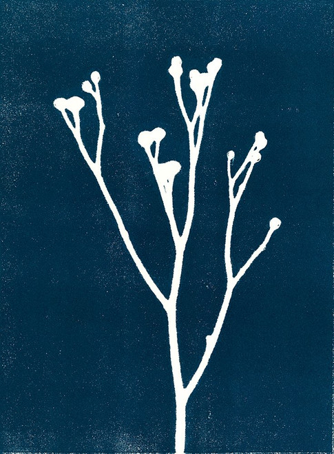 Blue Bud 2 Poster Print - Studio MMB