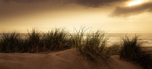 Dunes Poster Print - Don Schwartz