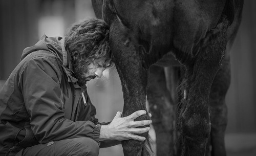 The Healer Poster Print - Sebastian Graf