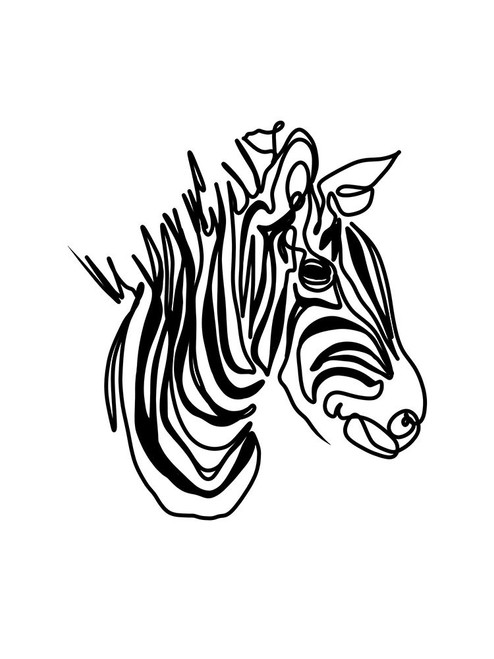 The Zebra Poster Print - Tidd Hanna Lee