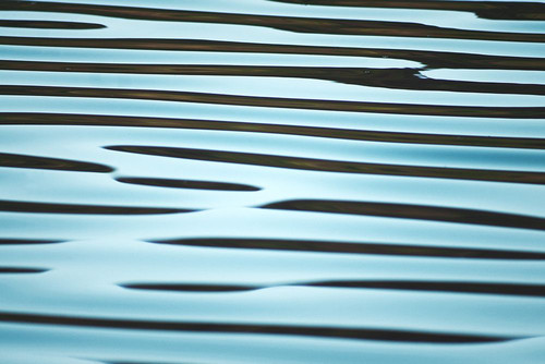Blue Ripples Poster Print - Artographie