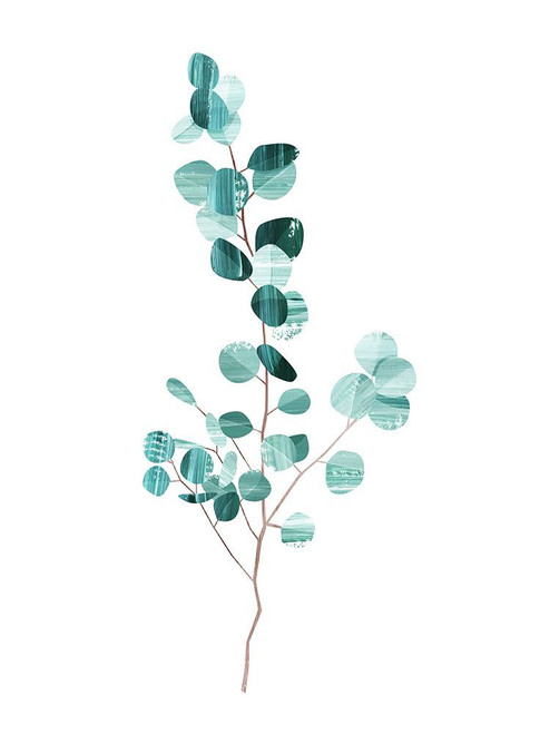 Eucalyptus Poster Print - Goed Blauw