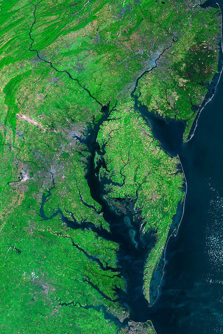 Chesapeake Bay Viewed from Space Poster Print - NASA