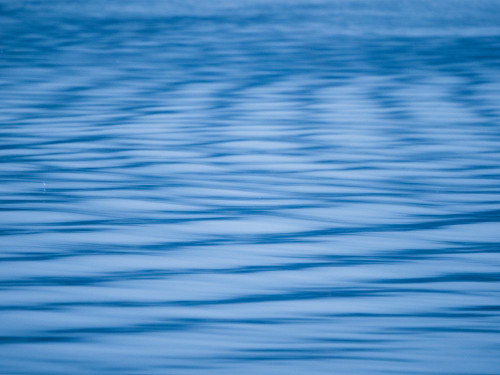 Ripples on water abstract. Poster Print - Images Merrill