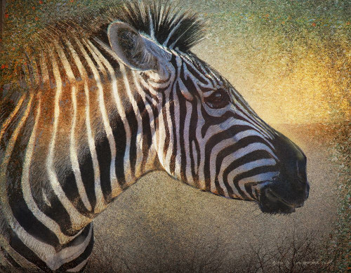 Zebra Portrait Poster Print - Christopher Vest