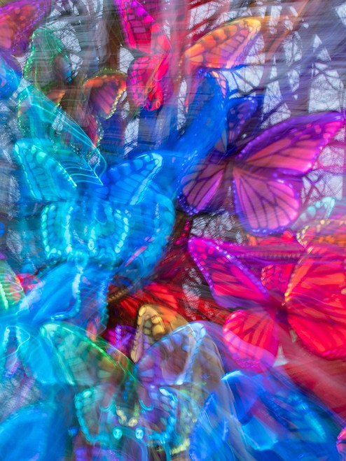 Arrangement of colorful artificial butterflies. Poster Print - Images Merrill
