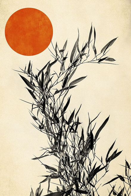 Japanese Birch Poster Print - Kubistika