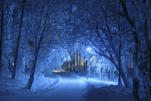 Winter Trail Poster Print - Artographie