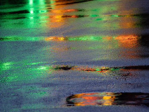 Lights reflected in puddles on asphalt path Poster Print - Images Merrill