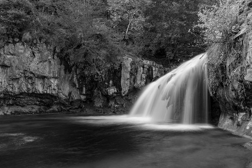 Waterfall Trail Poster Print - Artographie