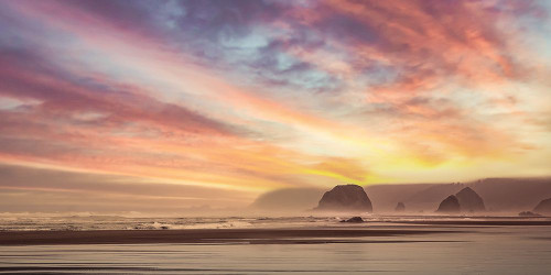 Coastal Brilliance Poster Print - Don Schwartz