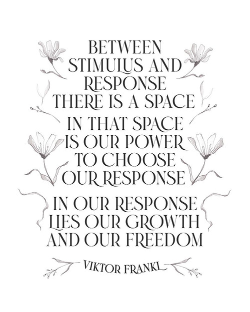 Viktor Frank Poster Print - Beth Cai