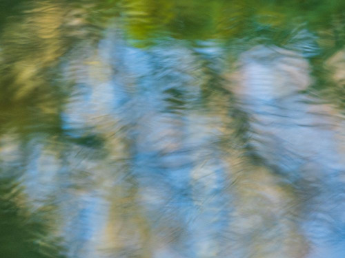 Rippled reflection in pond Poster Print - Images Merrill