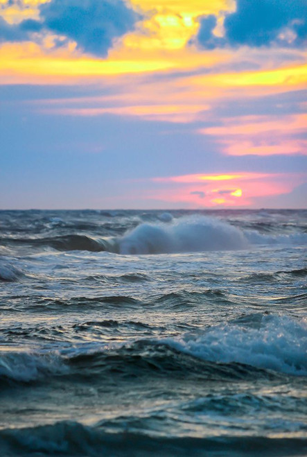 Gulf Shores 2 Poster Print - Rachel Lee