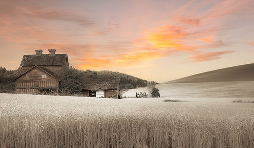 Abandoned in the Field of Wheat II Poster Print - Don Schwartz