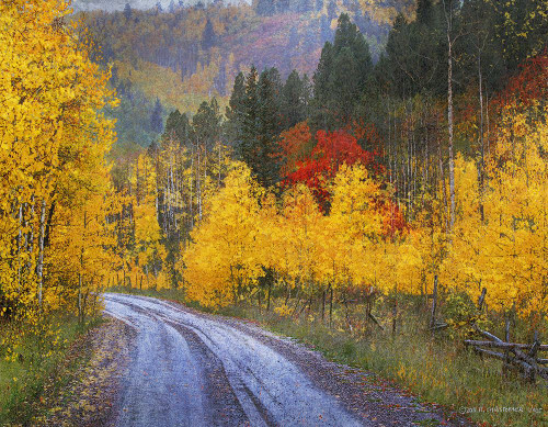 Wet Road Peak of Autumn Poster Print - Christopher Vest