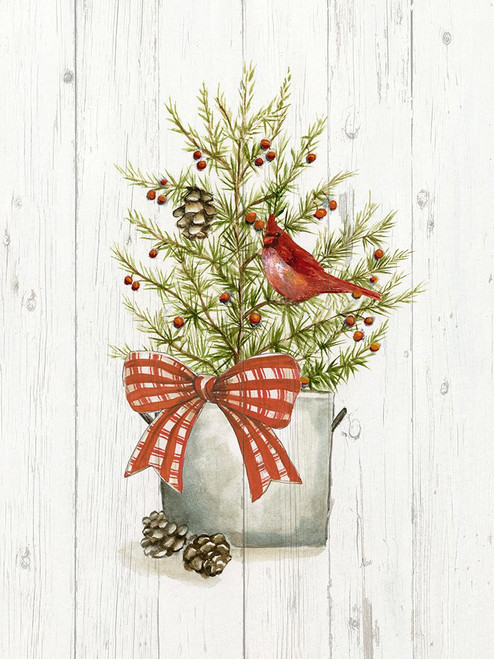 Winter Pine II Poster Print - Nan