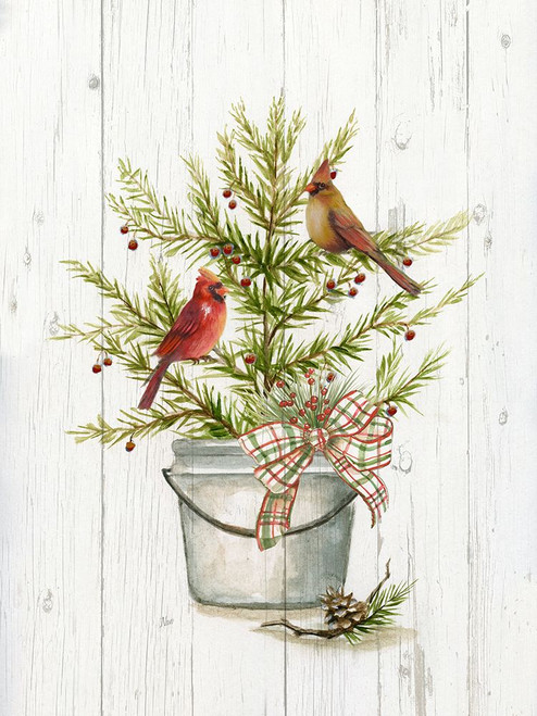 Winter Pine I Poster Print - Nan