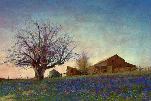 Barn on Hill Poster Print - Christopher Vest