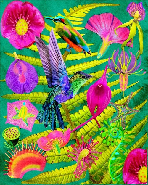 Forest Birds.png Poster Print - Giovanna Nicolo