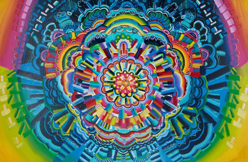 Discovery Poster Print - Amy Diener