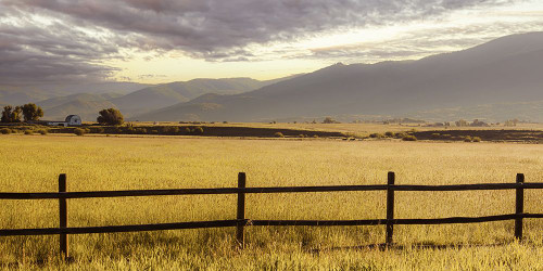 Pastoral Summer Morning Poster Print - Don Schwartz