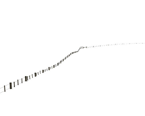 Bending Poster Print - Don Schwartz