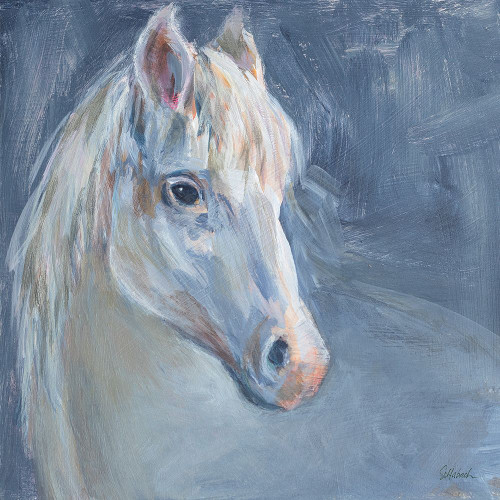Gentle Gray Horse Poster Print - Sue Schlabach