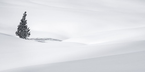 Alone on the Snowy Pass Poster Print - Don Schwartz