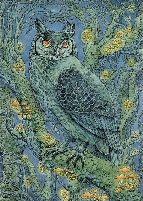 Forest Lights Poster Print - Lea Chaillaud