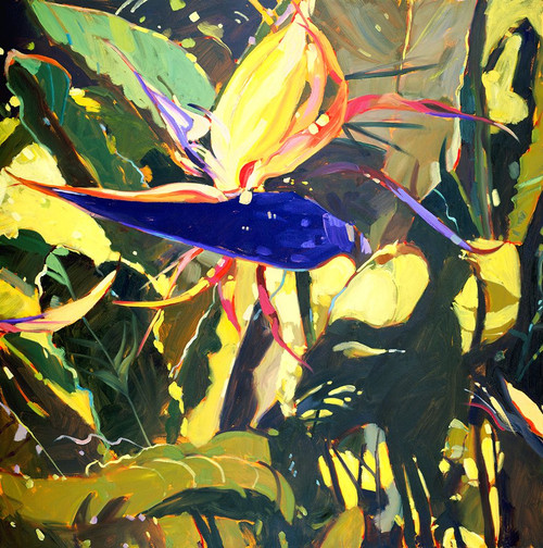 Bird of Paradise Poster Print - Darrell Hill